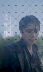 偏执凌少宠妻如命