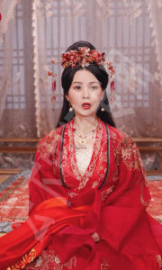 王妃惊华